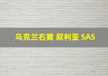 乌克兰右翼 叙利亚 SAS